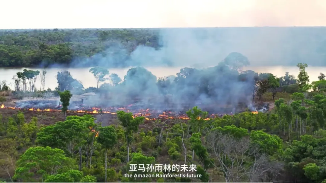 微信圖片_20250316124718.png 微信圖片_20250316124718.png